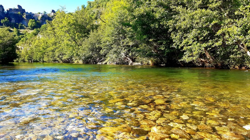 riviere a truite de l'hérault